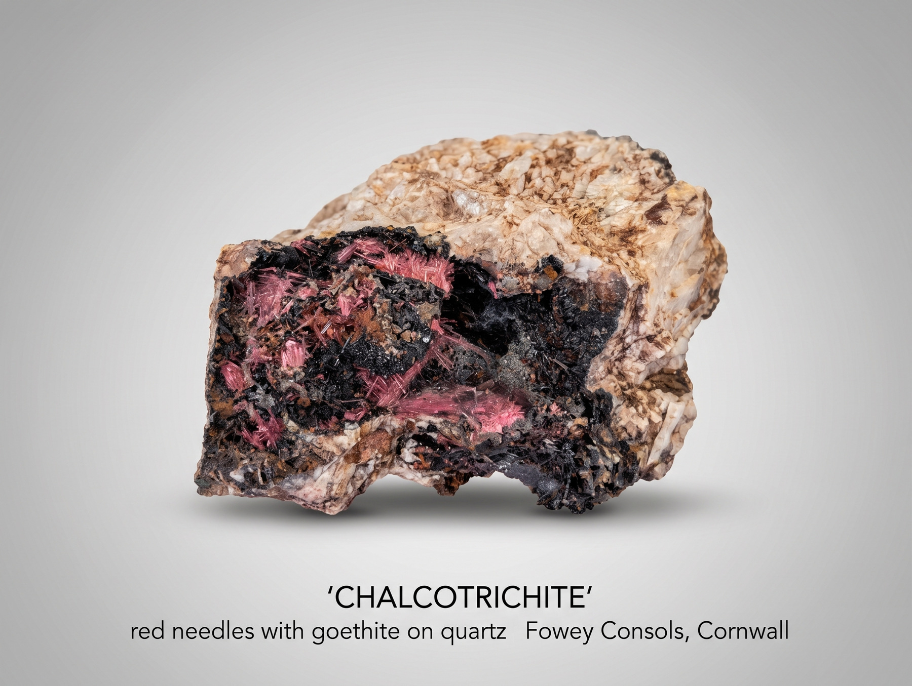 Fowey Consols, Chalcotrichite, submitted by BertyBasset on 12-05-2026.
© Robin Griffiths, post processing by Nano Banana Fowey Consols, Chalcotrichite